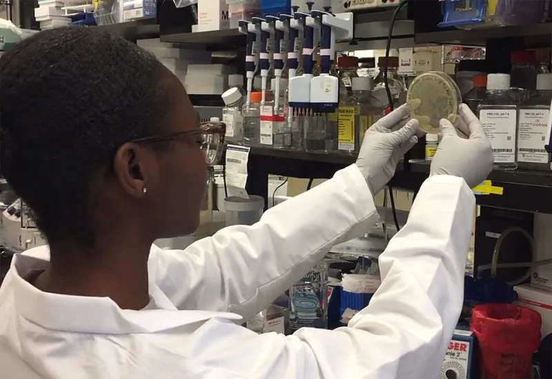 Why Your Favorite Wonder Material Is Probably Still a Lab Curiosity (And May Stay That Way)